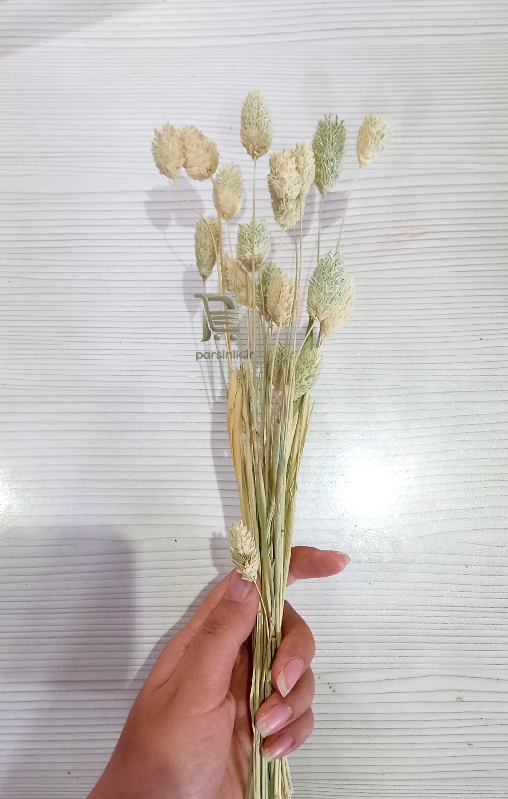 گل خشک توت فرنگی — تصویر ۳