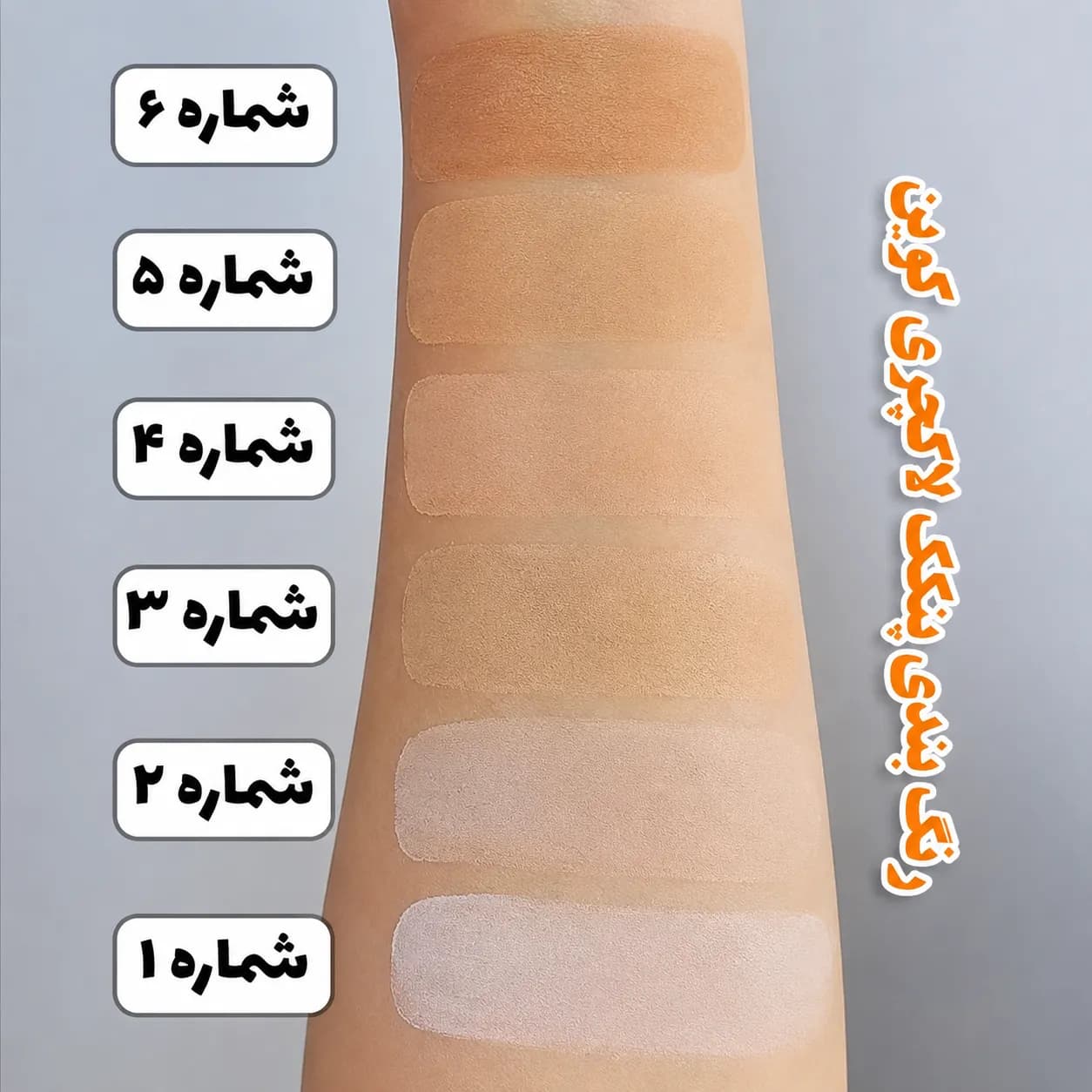 پنکک لاکچری کوین شماره ۱۰۲ — تصویر ۶