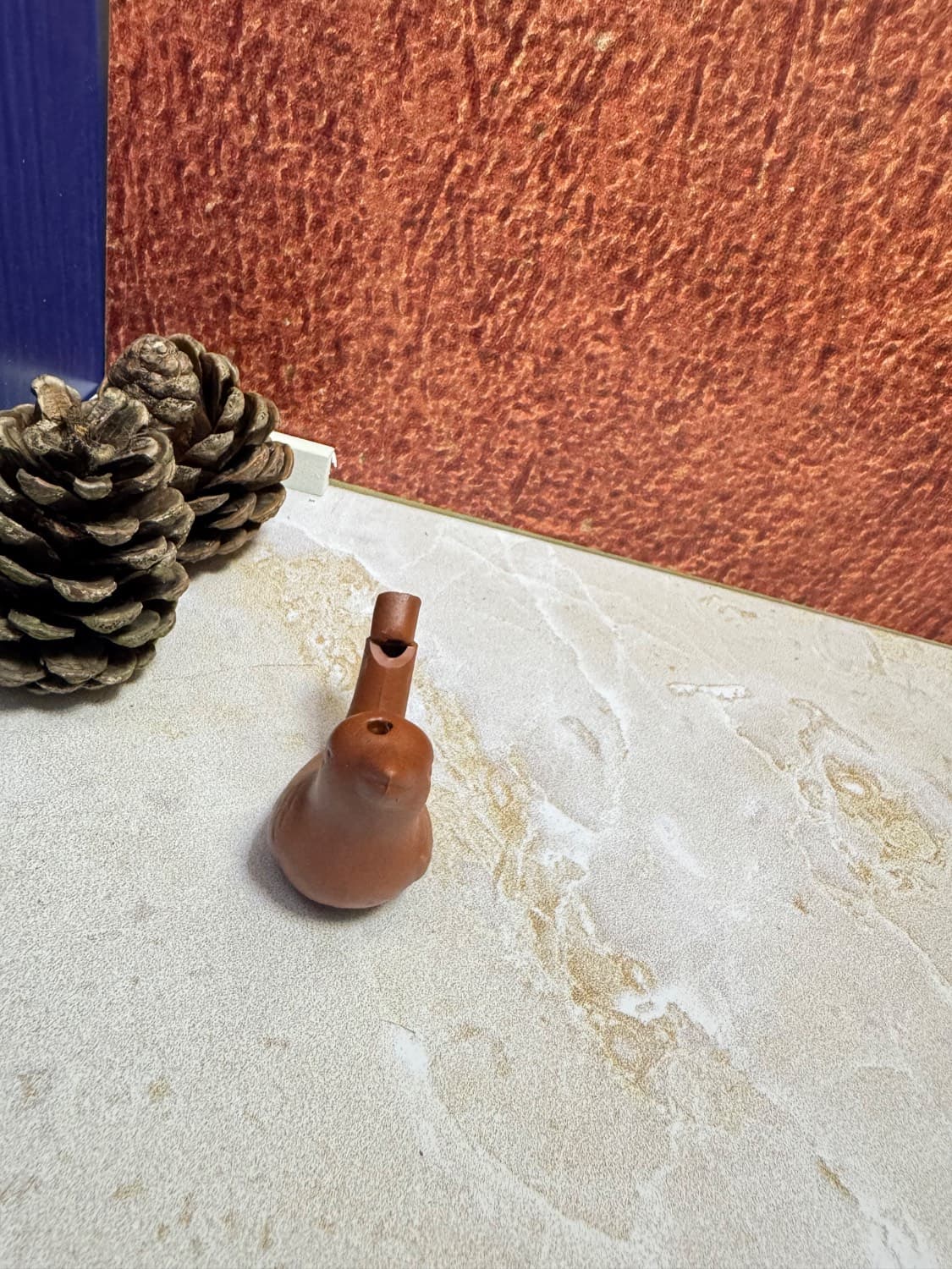 سوت بلبلی آبی — تصویر ۳