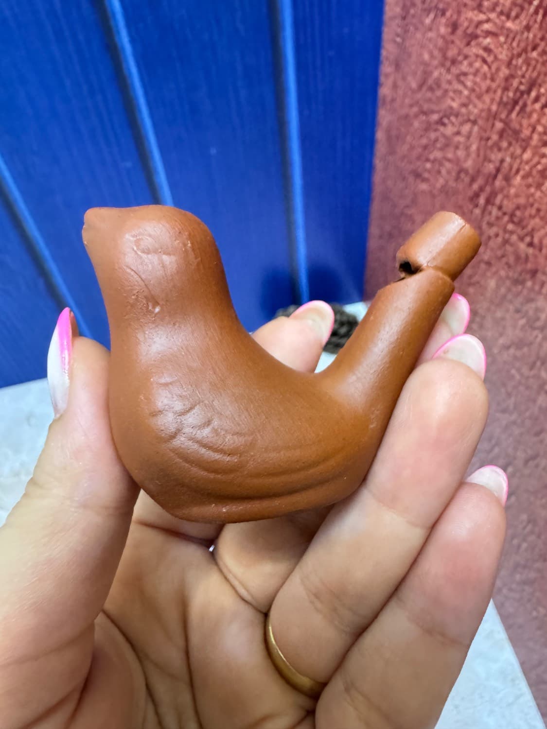سوت بلبلی آبی