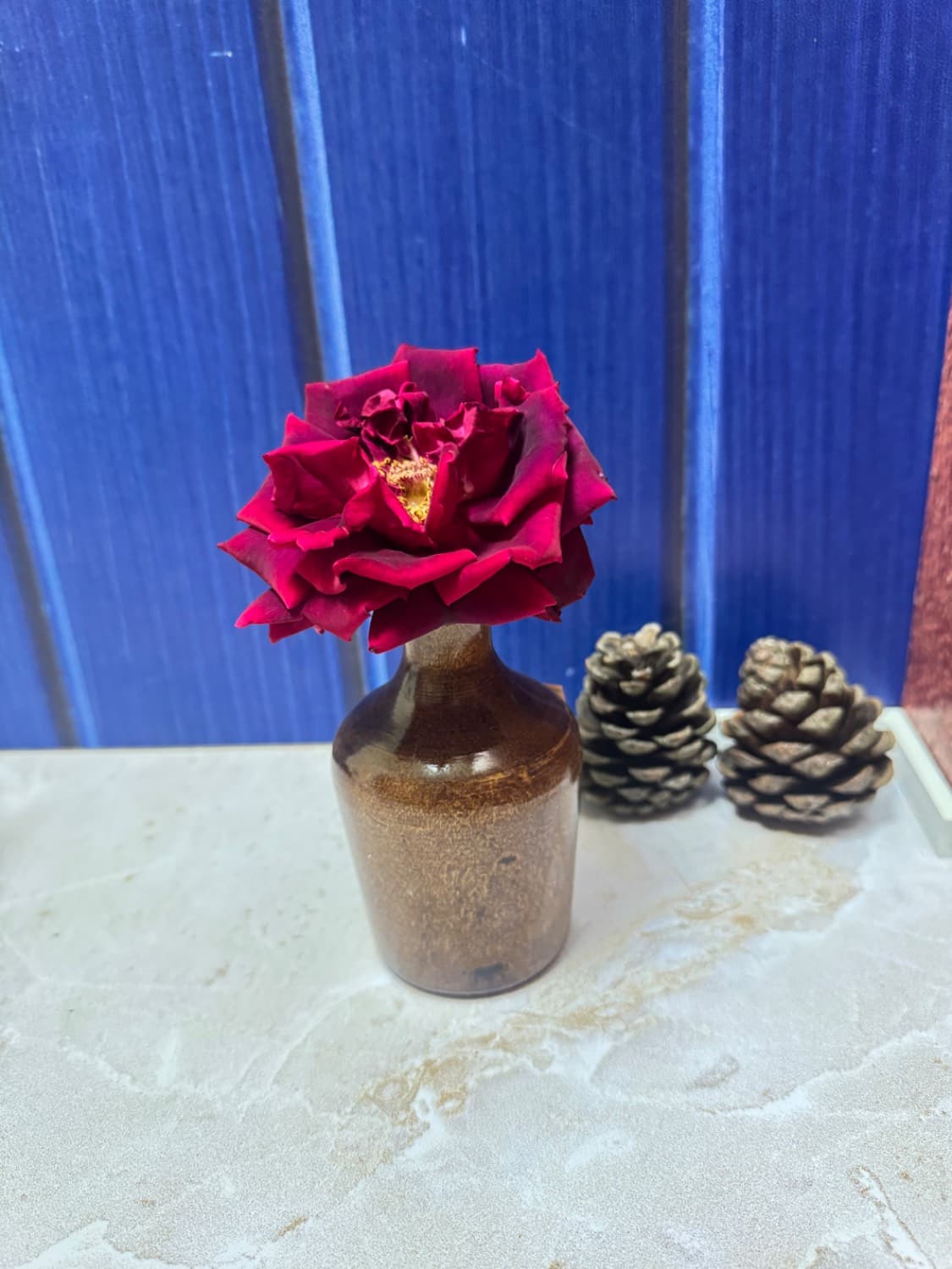 گلدان چوبی سایز کوچک — تصویر ۳