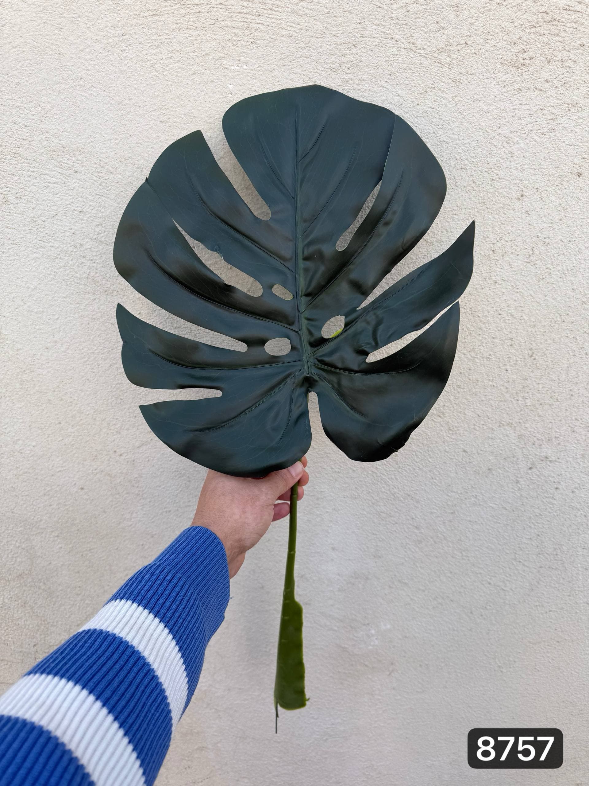 برگ‌ انجیری بزرگ
