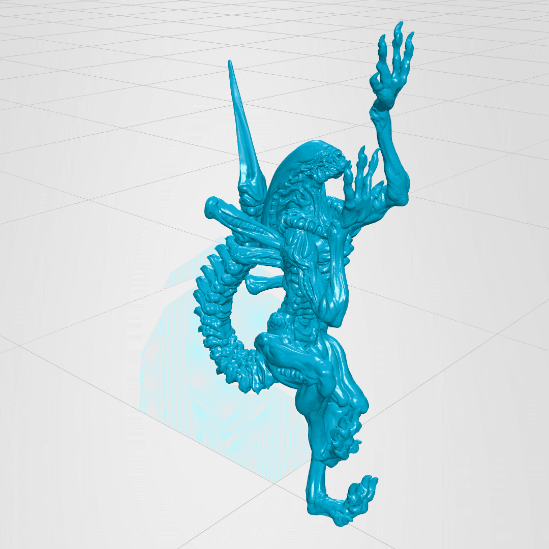 Alien – Xenomorph