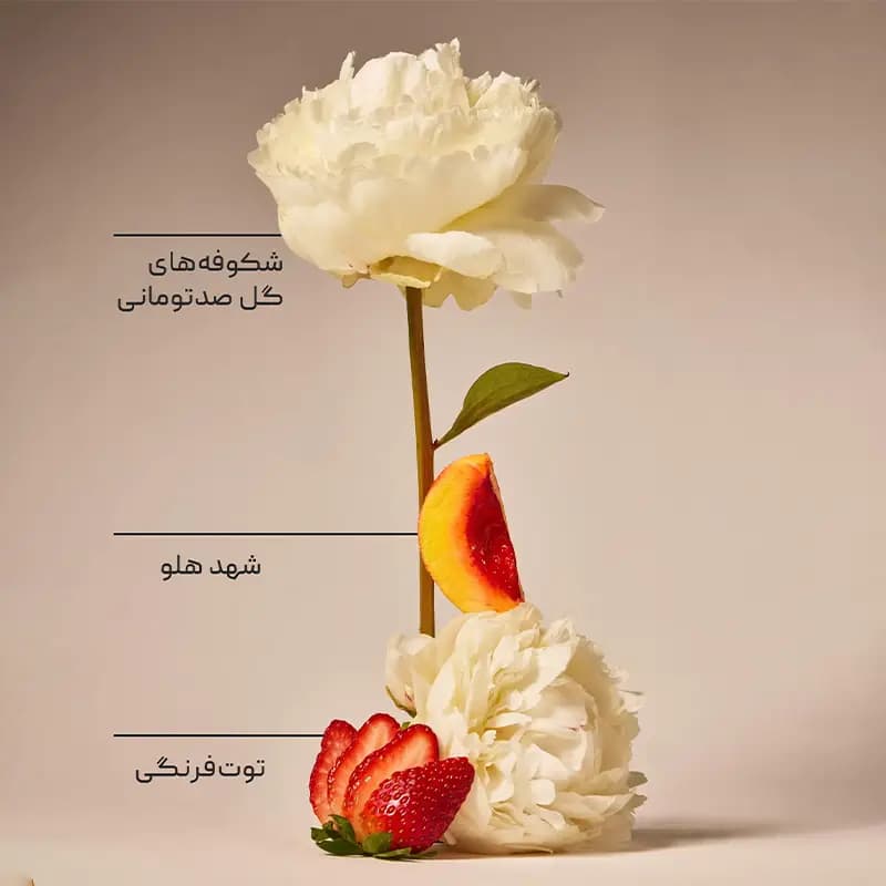 لوسیون بدن gingham gorgeous بث اند بادی Bath and Body — تصویر ۳