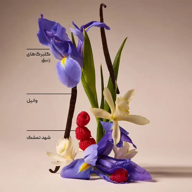 لوسیون بدن butterfly بث اند بادی Bath and Body — تصویر ۲