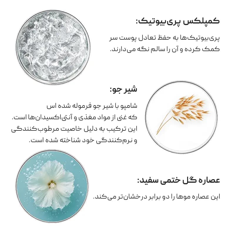شامپو نرم کننده فیتو Phyto — تصویر ۲