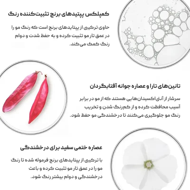 شامپو محافظ رنگ‌ مو فیتو Phyto — تصویر ۲