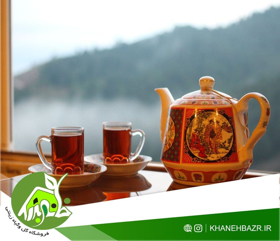 چای بهاره قلم کوهپایه لاهیجان -10 کیلویی