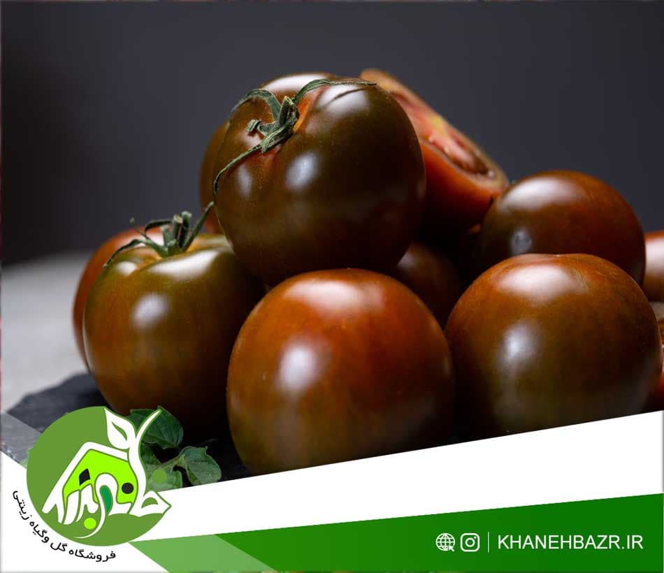 بذر گوجه فرنگی چری شکلاتی 10 عدد