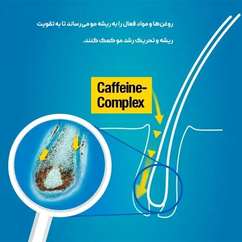 شامپو کافئین هیبرید آلپسین Alpecin — تصویر ۲