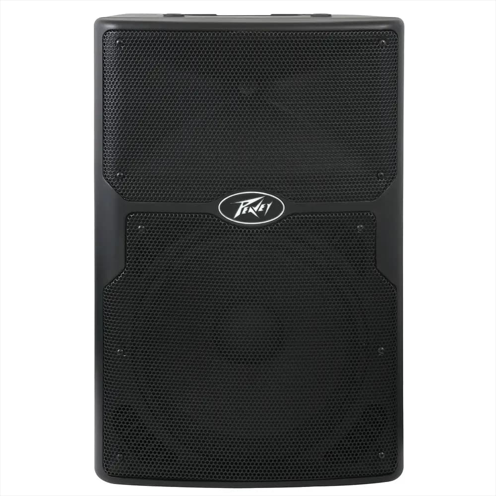 Peavey PVX P15
