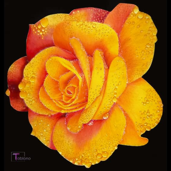 تابلو نقاشی با خودکار مدل Rose Flower کد PN9 — تصویر ۳
