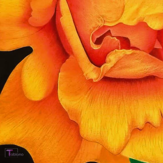 تابلو نقاشی گل با خودکار کد PN2 — تصویر ۳