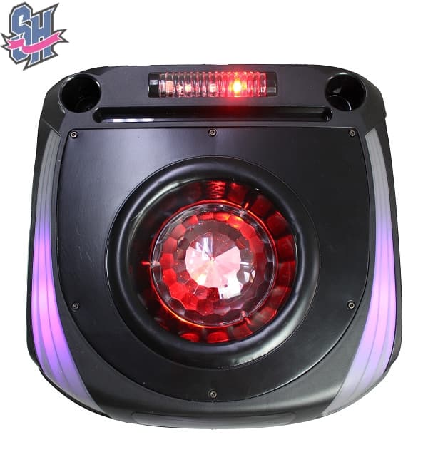 اسپیکر دیجی دار دنای مدل WB 3010 DJ6 RWS — تصویر ۴