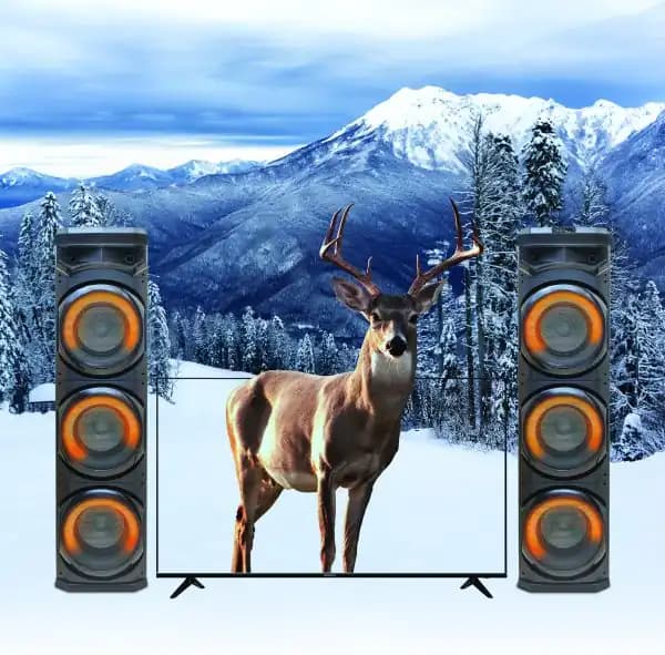 اسپیکر دی جی دار دنای مدل DE-DA3010DJ4 — تصویر ۲