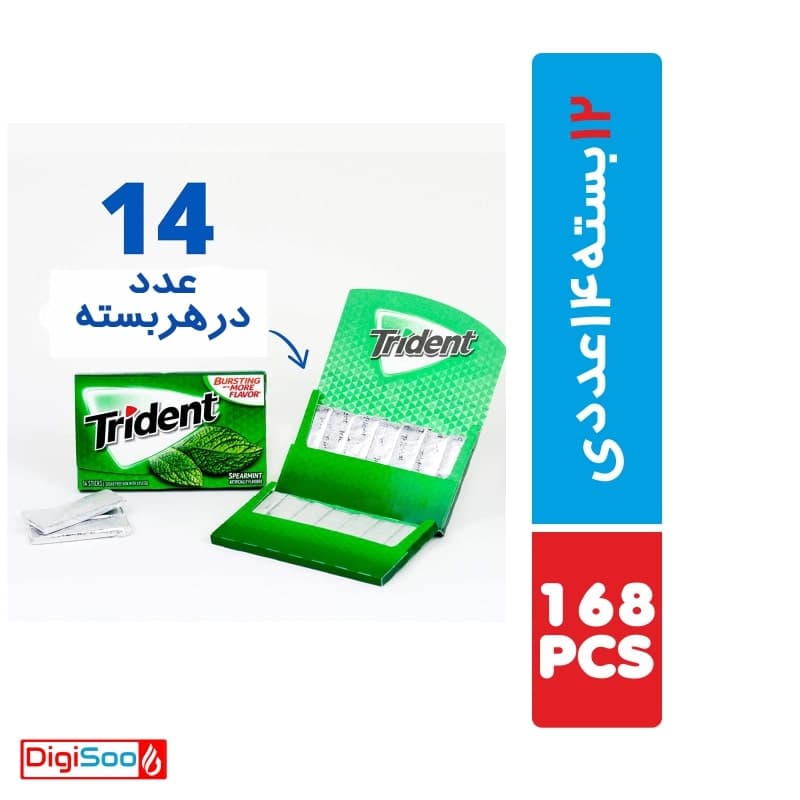 آدامس نعناعی تریدنت بدون شکر 12 بسته 14 عددی — تصویر ۲