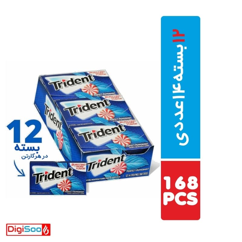 آدامس نعناعی تند تریدنت بدون شکر 12 بسته 14 عددی
