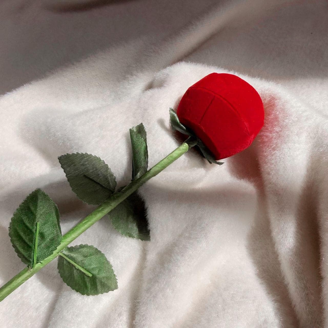 جعبه شاخه گل رز — تصویر ۵