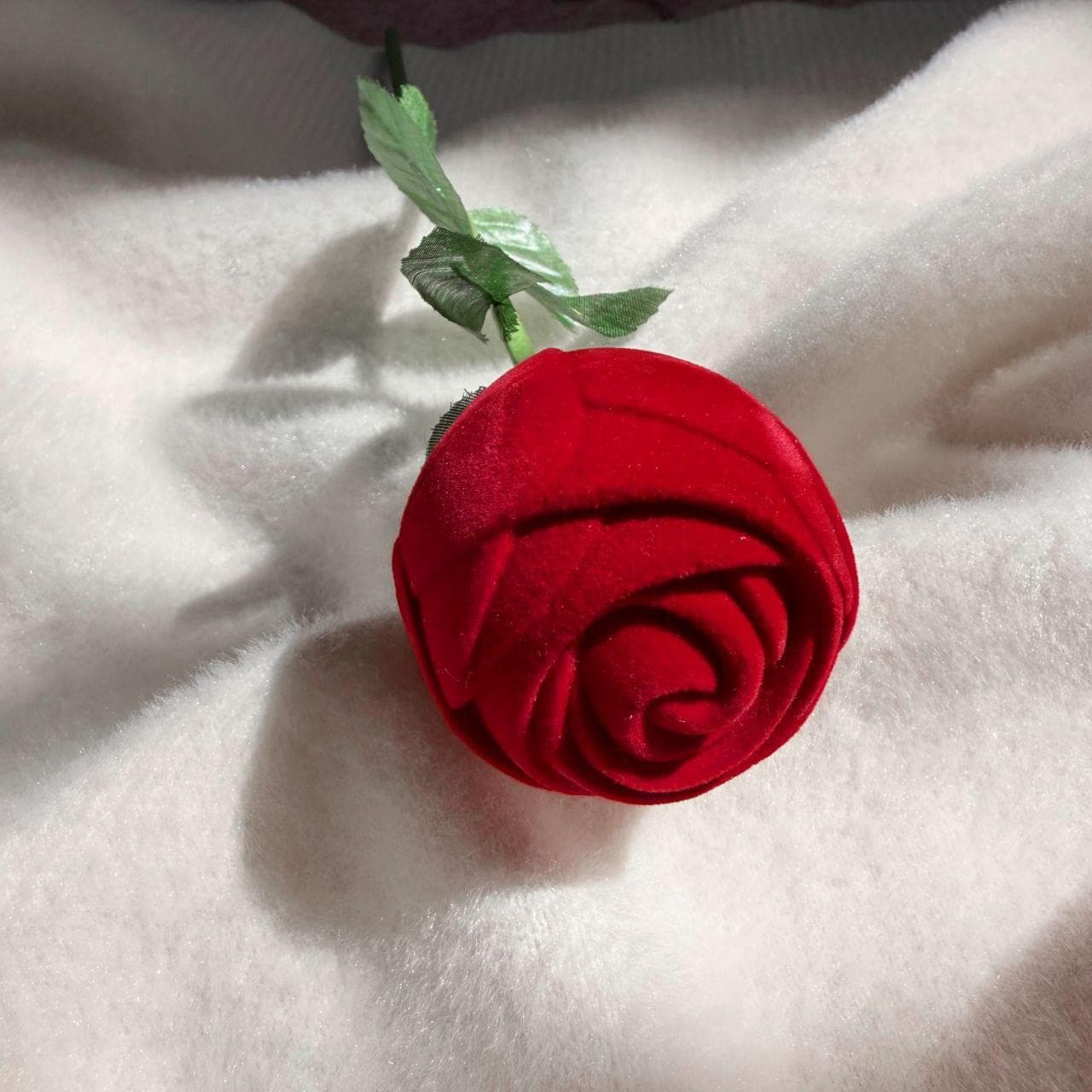 جعبه شاخه گل رز — تصویر ۴