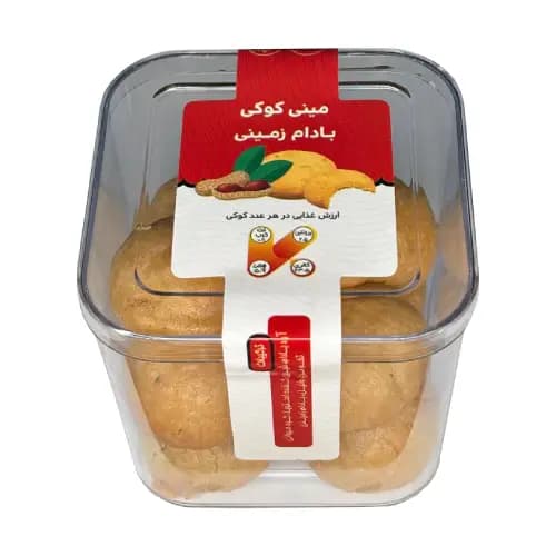 مینی کوکی بادام زمینی | بدون قند و گلوتن ، یک میان وعده سالم
