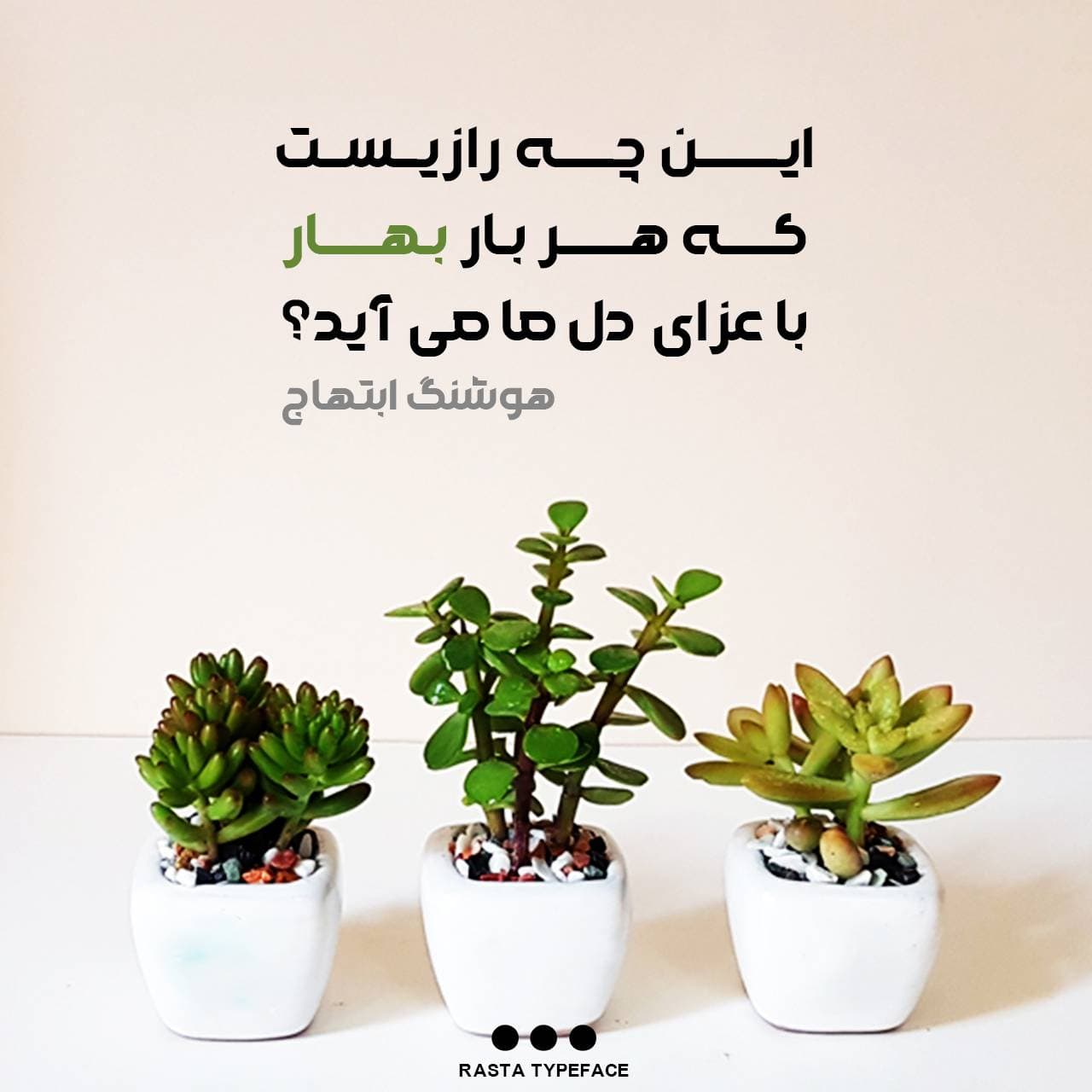 تایپ فیس رستا | Rasta Typeface — تصویر ۴