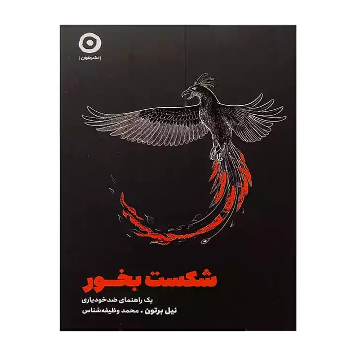 کتاب شکست بخور — تصویر ۲