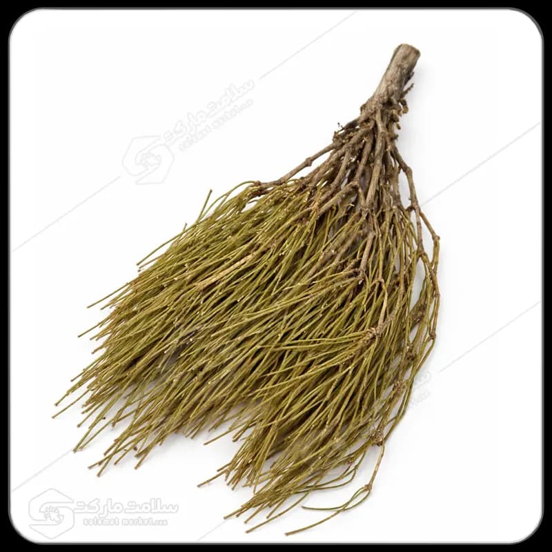 گیاه افدرا (ریش بز) | 200 گرمی