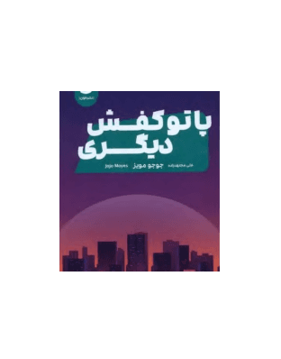کتاب پا تو کفش دیگری — تصویر ۴
