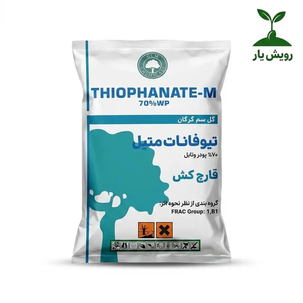 قارچ‌کش تیوفانات متیل ۷۰٪ WP گل سم گرگان ۱ کیلوگرمی | ضدعفونی بذر گندم و جو