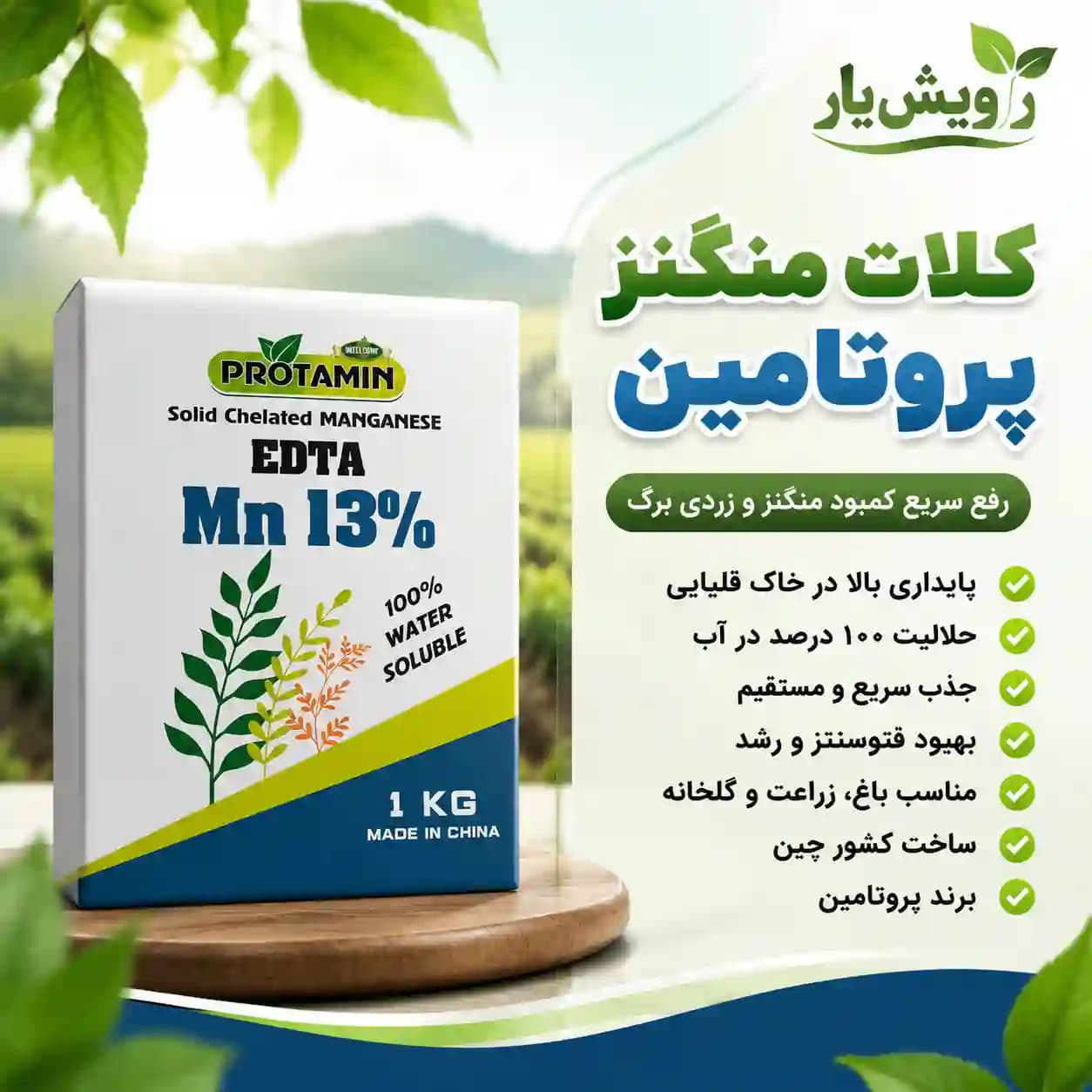 کلات منگنز ۱۳٪ پروتامین | ۱ کیلوگرم | پودری کاملاً کلاته (EDTA) — تصویر ۲