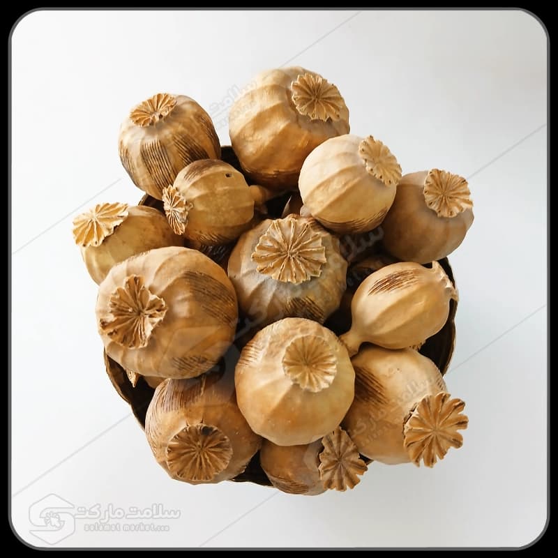 غوزه خشخاش خشک درجه یک (حاوی بذر) | 100 گرمی — تصویر ۲