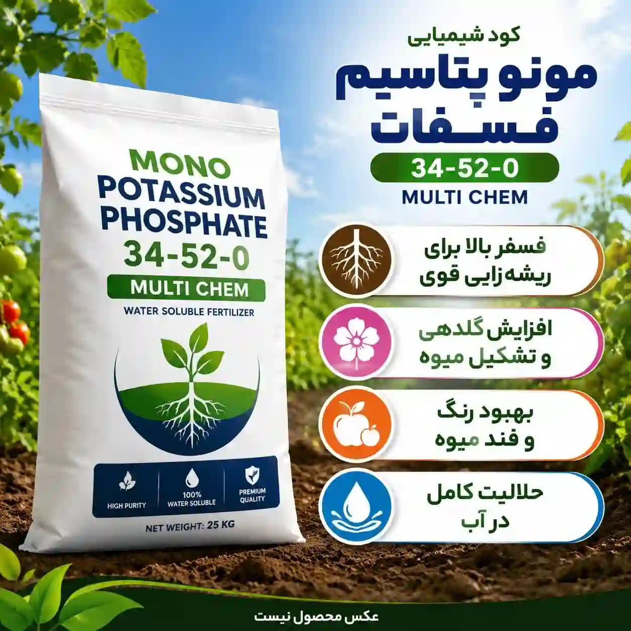 مونو پتاسیم فسفات 34-52-0 مولتی کم 25کیلویی | خرید بهترین کود MKP پودری — تصویر ۲