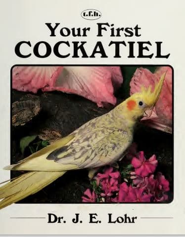 اولین عروسی هلندی شما – Your First COCRATIEL