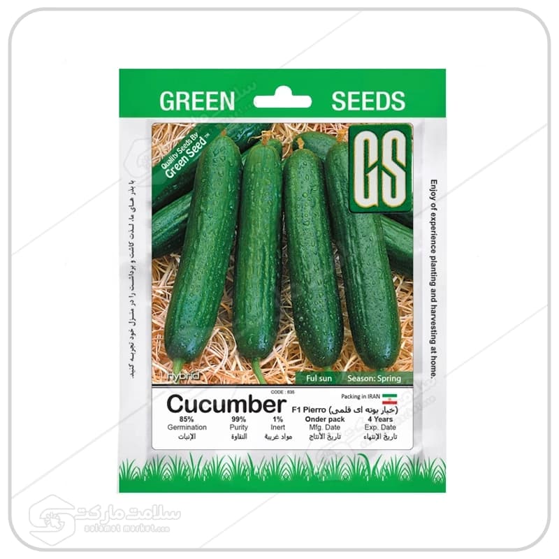 بذر خیار بوته ای قلمی | پاکتی | Green Seeds