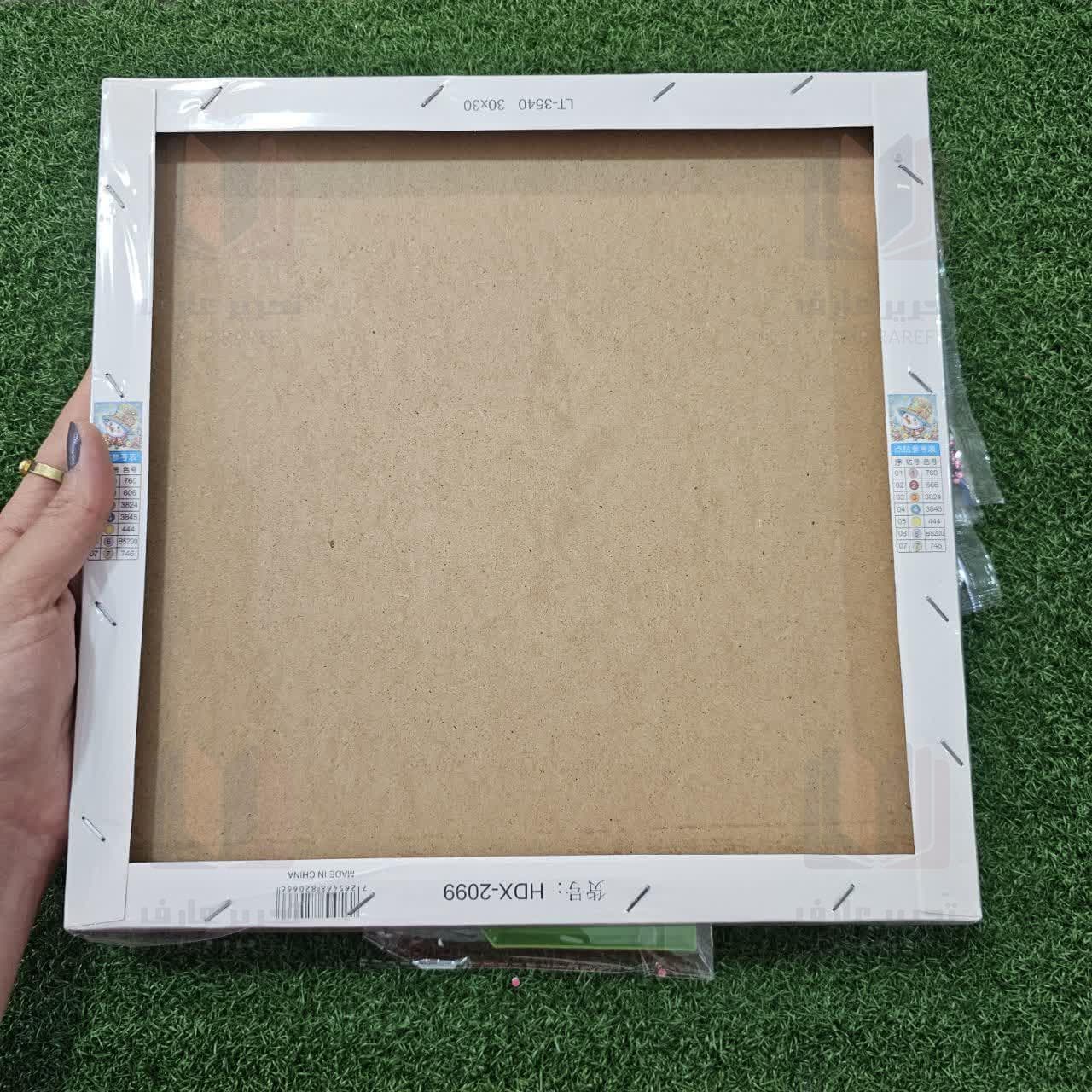 نقاشی الماسی 30*30 بزرگسال 25700 — تصویر ۳
