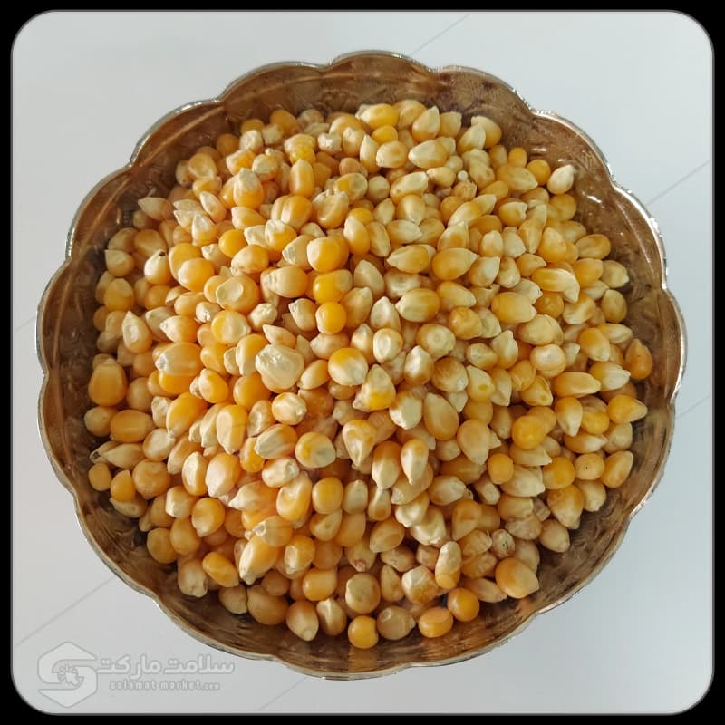 ذرت پاپ کورن اعلا | 1 کیلو گرم — تصویر ۲