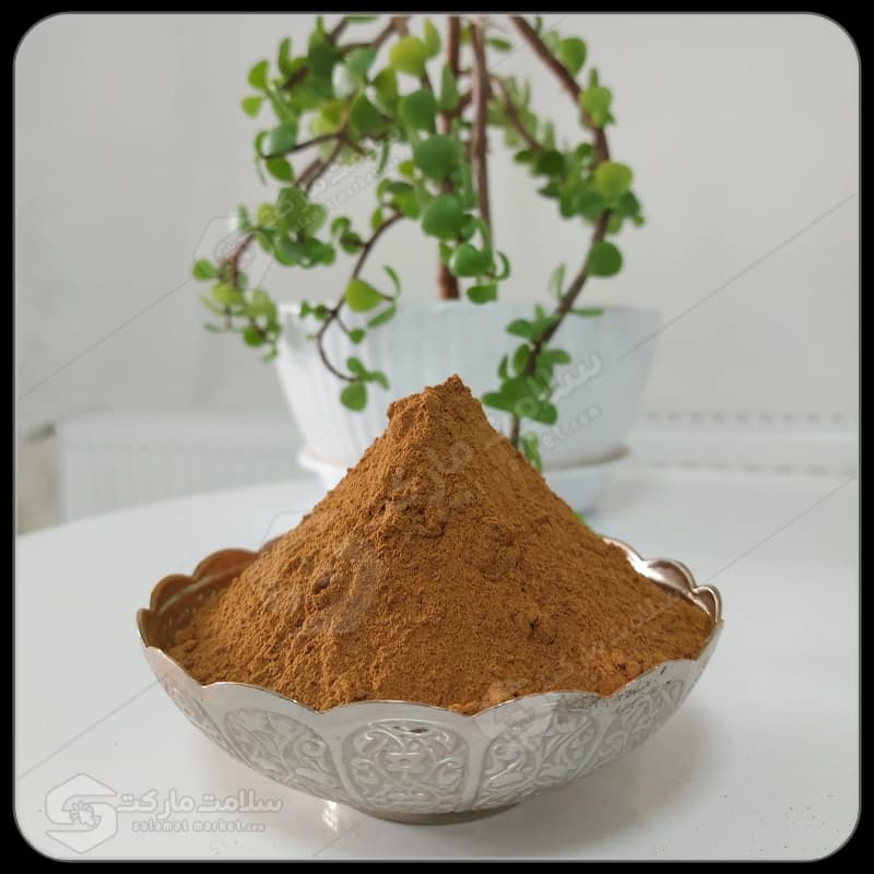 پودر دارچین اعلا | 100 گرمی