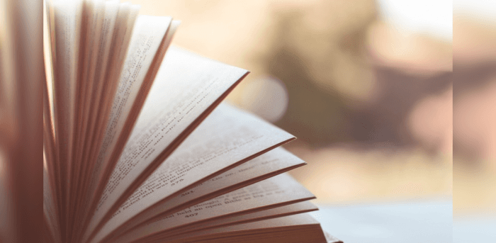 تعمیرکار نوشته برنارد مالامود | The Fixer by Bernard Malamud — تصویر ۲