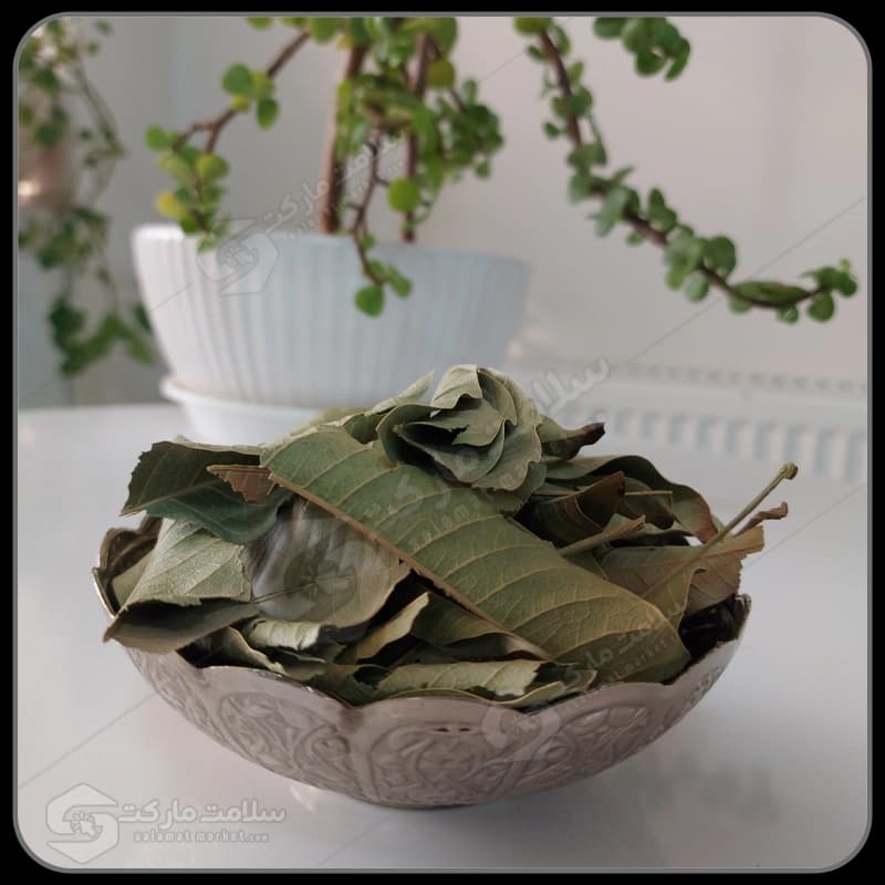 برگ انبه | 100 گرمی