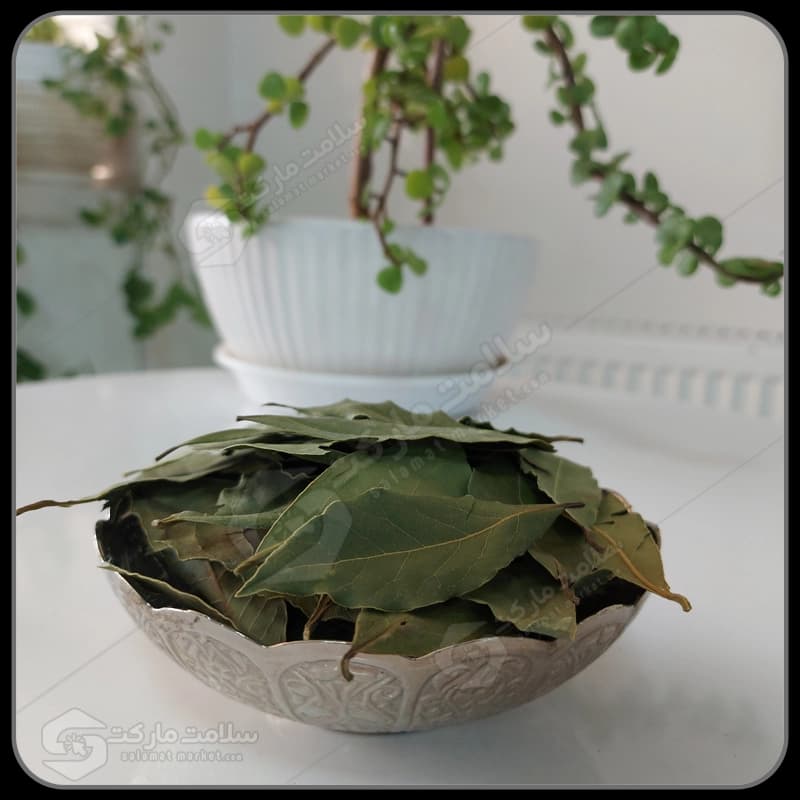 برگ بو | 100 گرمی