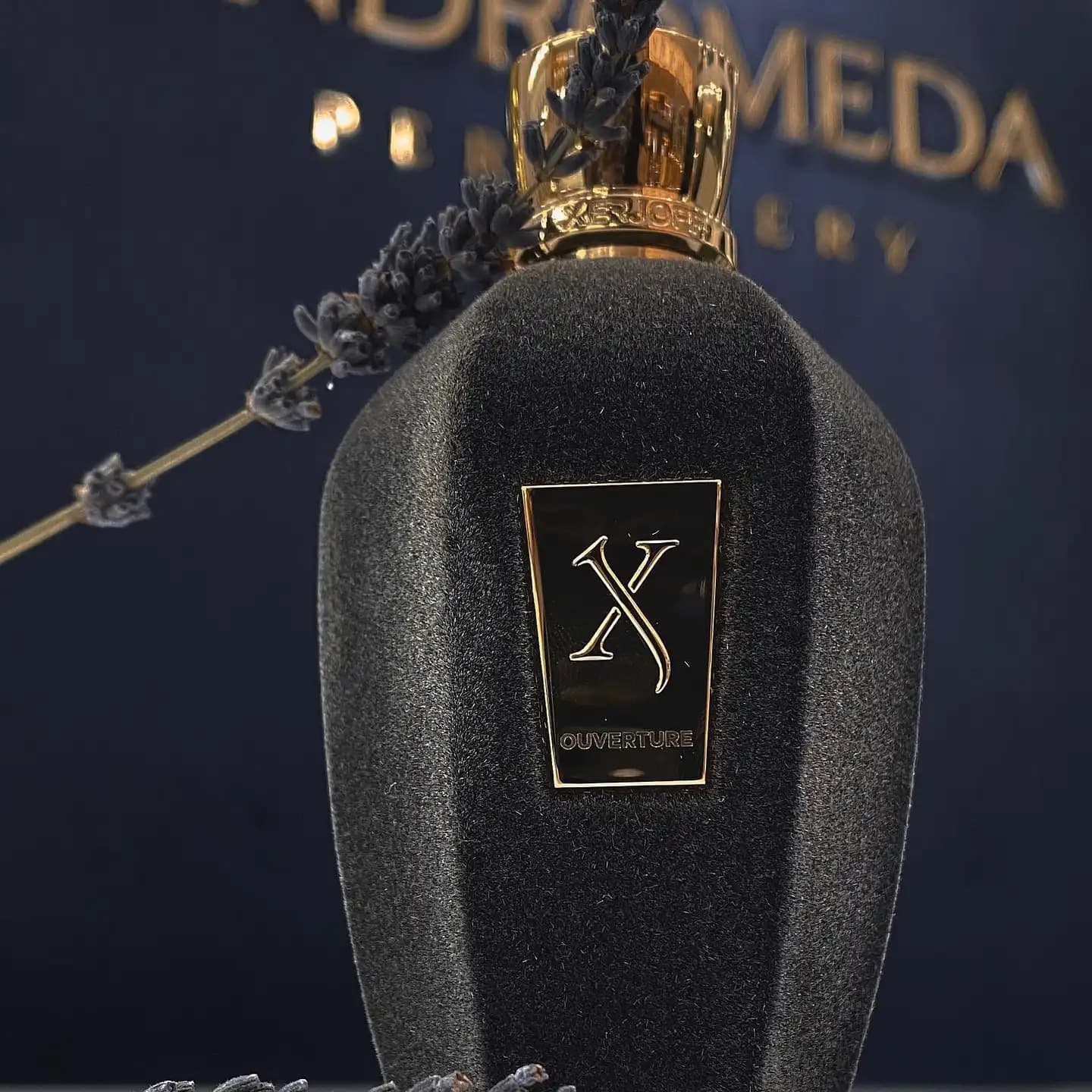 عطر ادکلن زرجف-زرژاف اوورتور | Xerjoff Ouverture — تصویر ۲