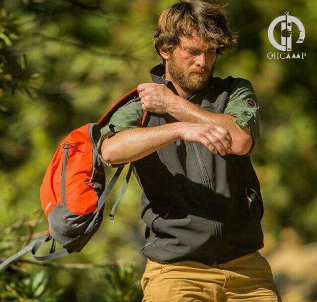 کوله پشتی طرح کچوآ مدل QUECHUA Arpenaz 10L — تصویر ۳