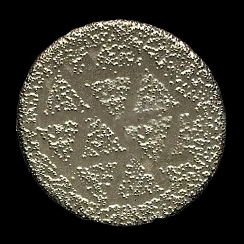 دیسک انگشتی وکیوم ایگلی سایز 30 mm — تصویر ۲