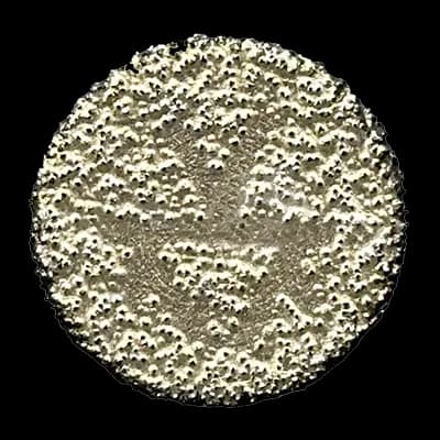 دیسک انگشتی وکیوم ایگلی سایز 20 mm — تصویر ۲