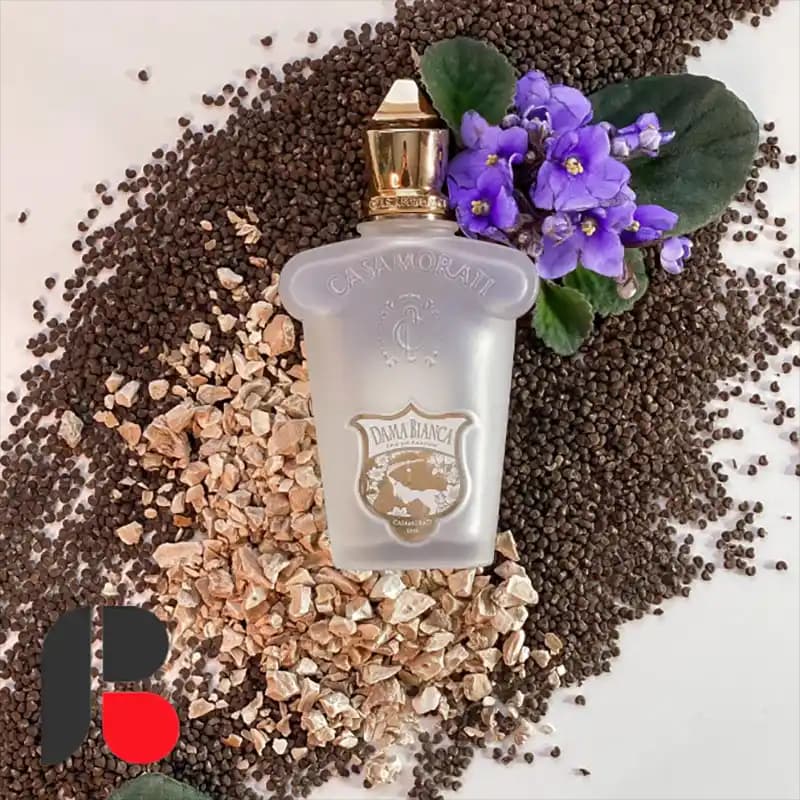 عطر ادکلن کازاموراتی زرجف داما بیانکا | Xerjoff Casamorati Dama Bianca — تصویر ۳