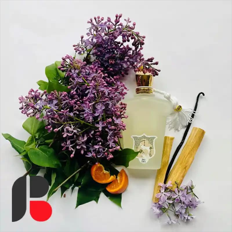 عطر ادکلن کازاموراتی زرجف داما بیانکا | Xerjoff Casamorati Dama Bianca — تصویر ۶