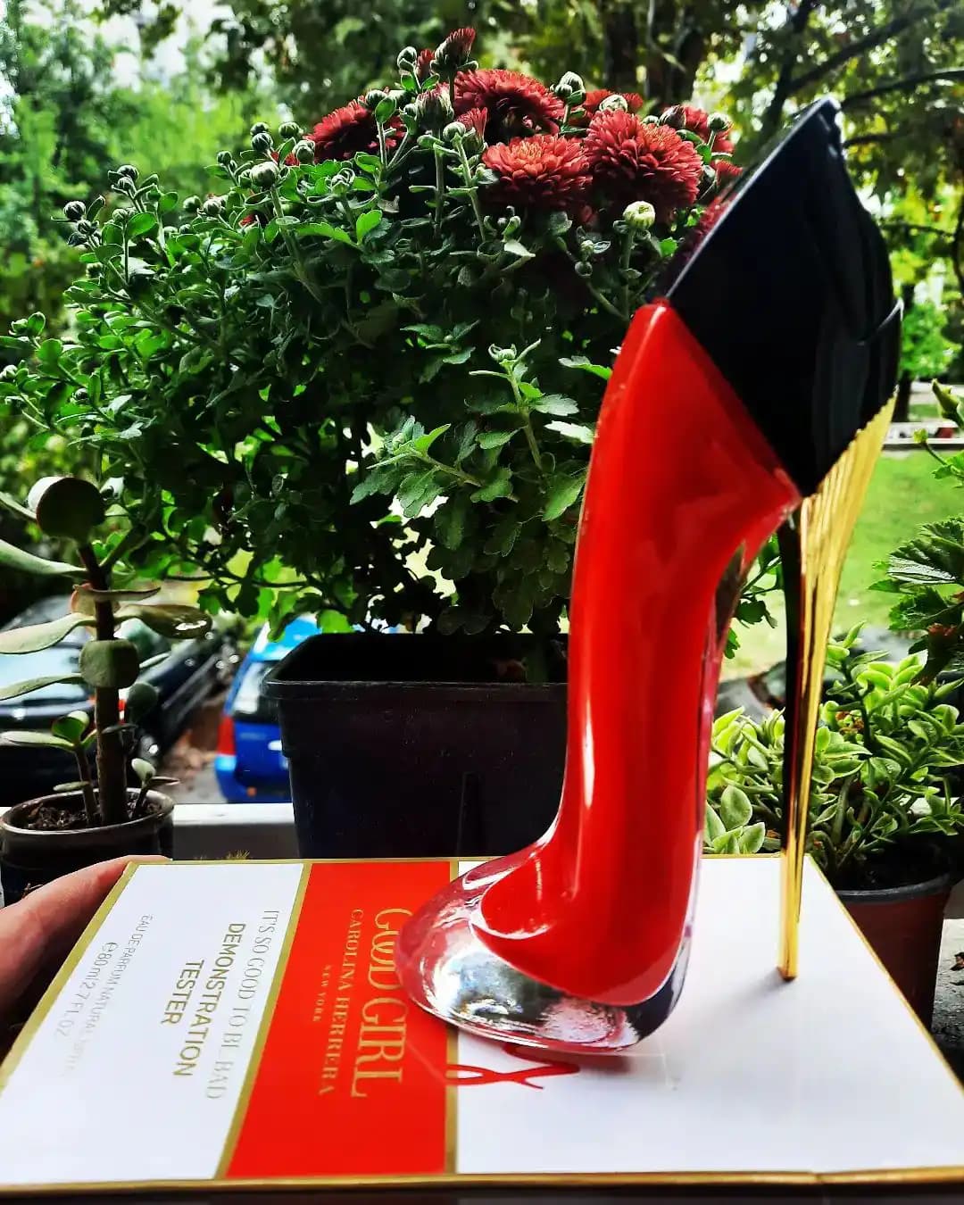 عطر ادکلن کارولینا هررا وری گود گرل | Carolina Herrera Very Good Girl — تصویر ۶
