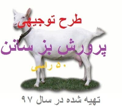 پرورش بز سانن