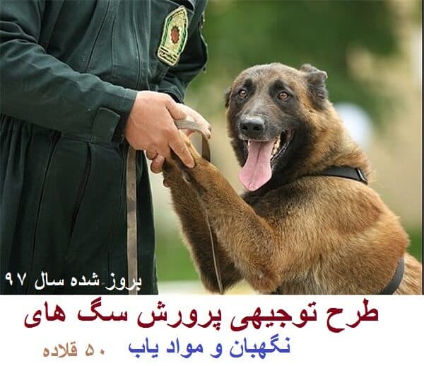 طرح توجیهی پرورش سگ آموزش دیده به ظرفیت 50 قلاده سال 97