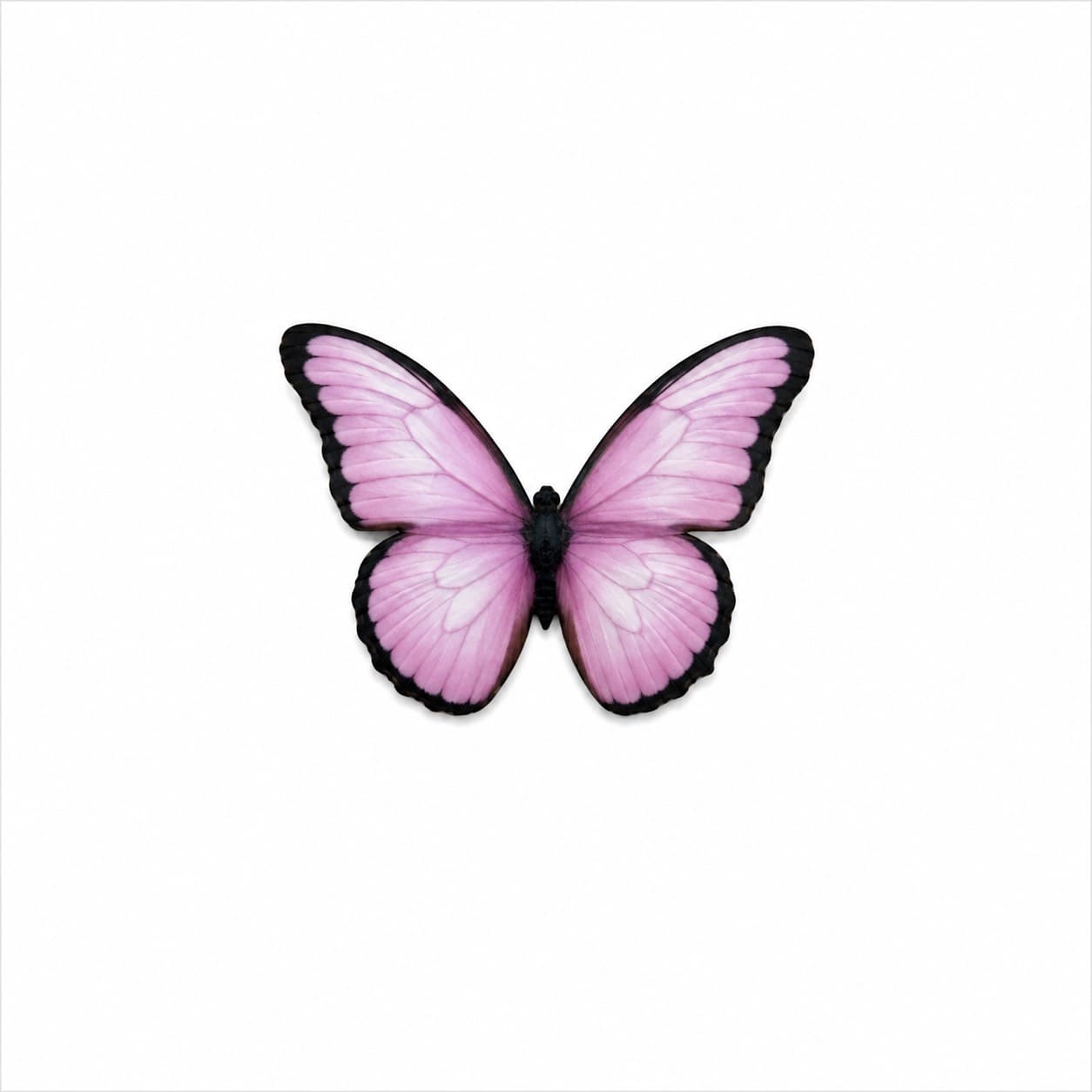 گیره مو استیکر پروانه صورتی